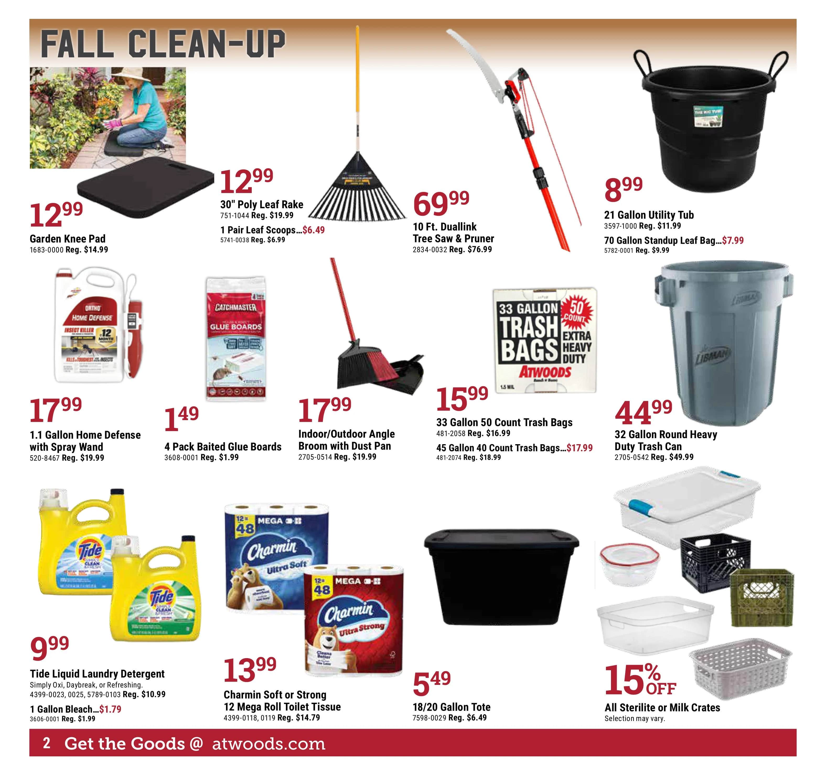 Flyer Page 2
