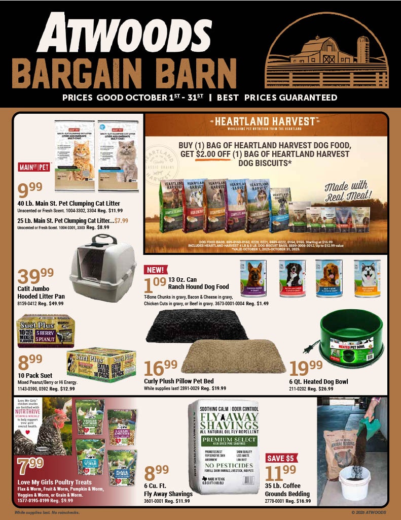 Flyer Page 1