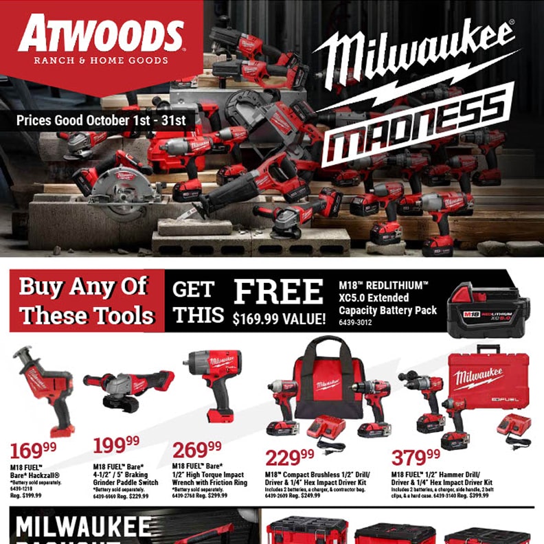 image of Milwaukee Madness