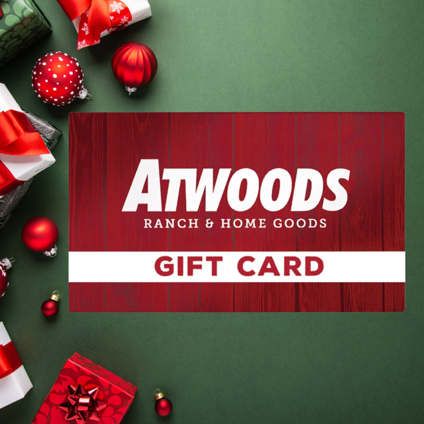 GC christmas artwork2.png