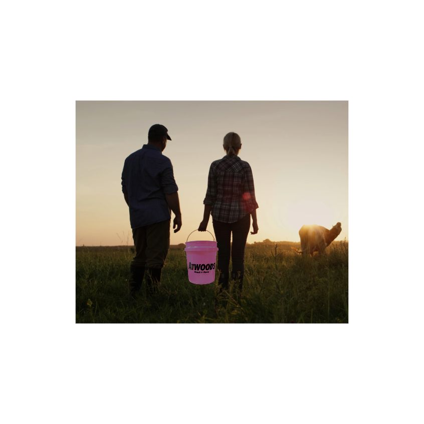 valentines couple artwork2.png